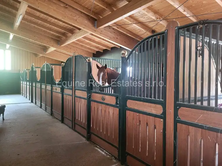  Reitanlage in Vollbetrieb Wien-Süd