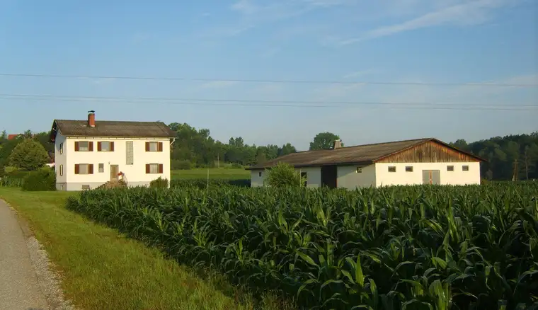 Landwirtschaft mit Potential