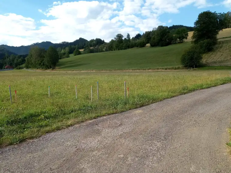 Sonniges Baugrundstück in traumhafter Lage