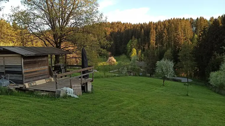 Idyllisches Baugrundstück mit 2.292m2 | Ihr privates Naturparadies in absoluter Ruhelage in Neufelden | Provisionsfrei
