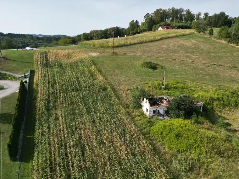 9,2 ha Freiland mit Baubewilligung für Schweinezucht bzw. anderweitige Tierhaltung (3.471m² BGF)