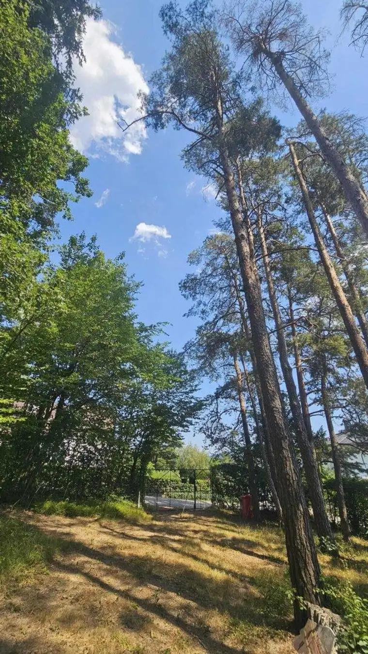 Großzügiges Baugrundstück – Bauklasse I und II (Bauträgerprojekt mit mehreren Wohneinheiten, Reihenhäuser, Villa mit parkähnlichem Garten)