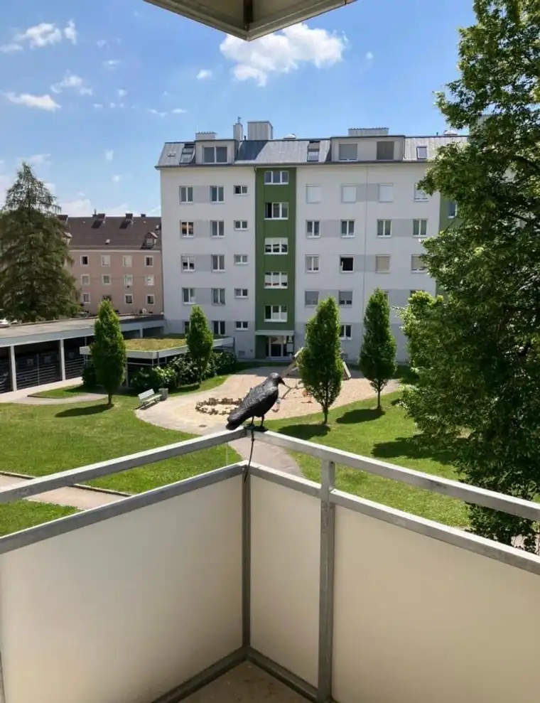 3 Zimmer Wohnung in 4040 