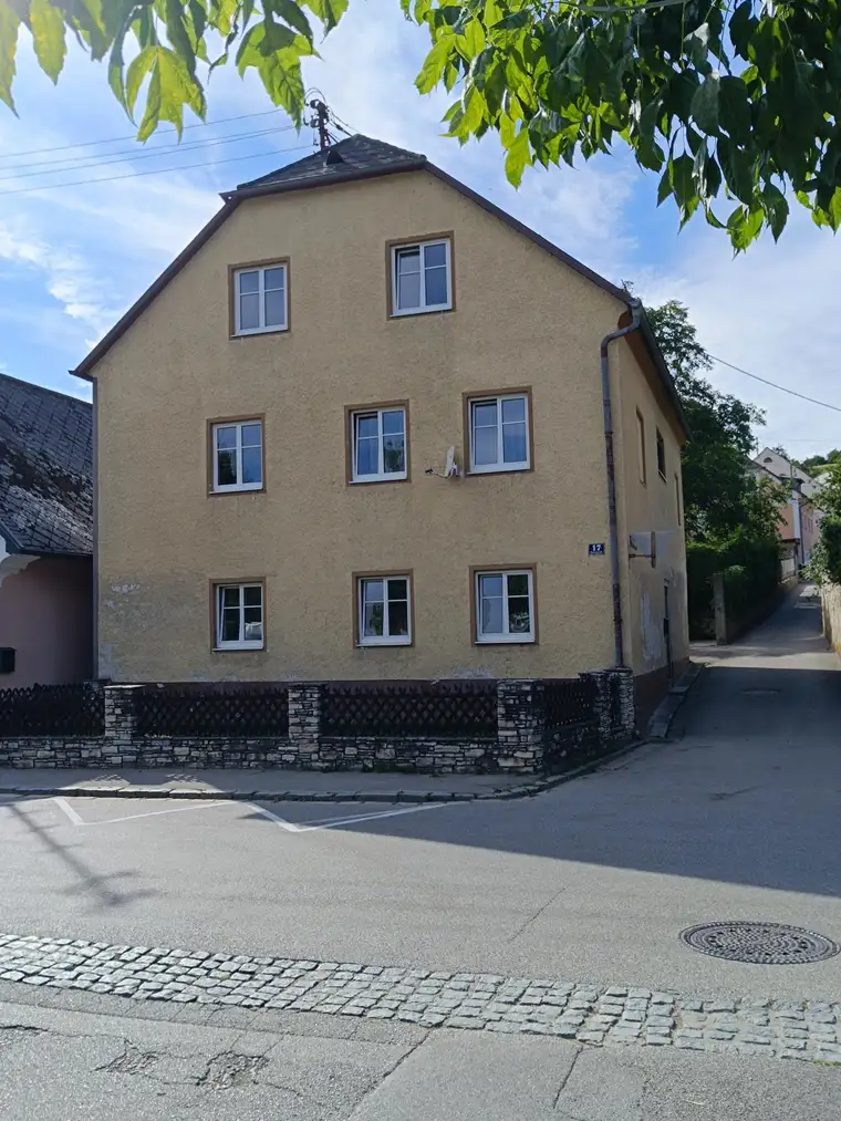 Renovierungsbedürftiges Haus mit großzügigem Garten direkt an der Donaupromenade