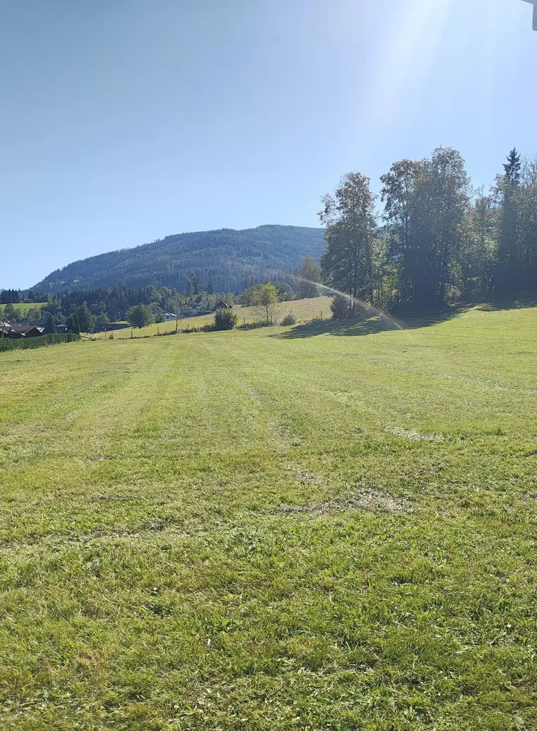Baugrundstück in Irdning 