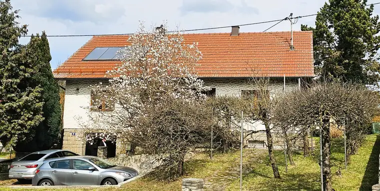 Wertbeständiges Ziegelmassivhaus: Großzügiges Wohnen, nachhaltige Energie und private Gartenoase