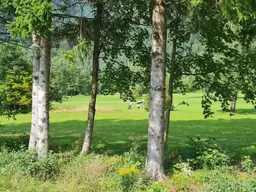 schönes, ruhiges Grundstück am Golfplatz