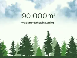 9ha Waldfläche in Kaning
