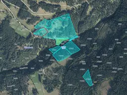 9ha Waldfläche in Kaning