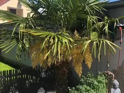Ein Einfamilienhaus das viel Freiraum lässt. Pool Garage