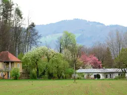 Salzburg- Süd: Historische Villa mit Nebengebäude in prominenter Lage!