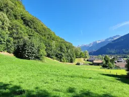 Wald, Wiesen- und Freiflächen zu verkaufen