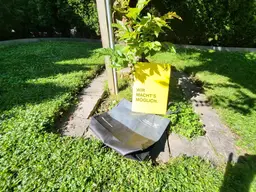 Provisionsfrei gepflegtes Eckreihenhaus