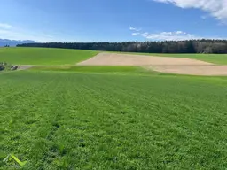 Baugrundstücke im Grünen mit einzigartigem Panoramablick