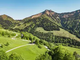 Baugrund in der wunderschönen Gaißau
