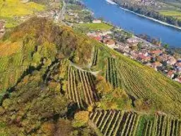 Wachau: einzigartiger kl. Weingarten in Aussichtslage - mit Betreuung