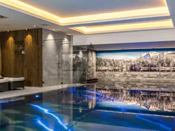 1-Zimmer-Apartment / Kitzbüheler Alpen / Tirol / Serviced Apartment