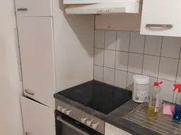 Attraktive Einzimmer-Wohnung mit großer Terrasse und Erdwärmeheizung