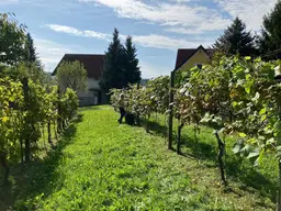 2 Baugrundstücke St. Anna am Aigen, Südsteiermark