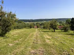 Landwirtschaftliche Fläche mit Obstbaukulturen ca. 1,2 ha zu verkaufen.