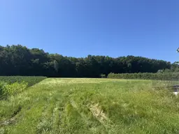 Traumhaftes Baugrundstück in sonniger Lage – flexibel teilbar von ca. 900 m² bis 4.500 m²