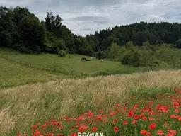 Schönes, sonniges Grundstück in herrlicher Lage in Maria Rain