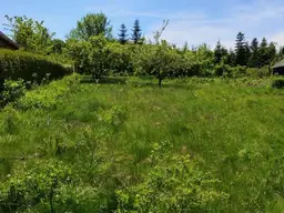 3021 PRESSBAUM TOP BAUGRUND MIT NAHVERSORGUNG UND ÖFFENTLICHER ANBINDUNG IM GEHBEREICH!!!