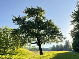 Eindrucksvolle Naturkulisse mit traumhaftem Ausblick