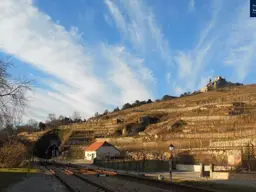 Gartenwohnung mit zauberhaftem Blick auf die Burgruine Dürnstein