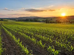 ca. 6 ha landwirtschaftlicher Nutzgrund - Bezirk GMUNDEN - erweiterbar