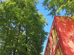 Wohnen am Buchenwald - moderne 57 qm Wohnung mit angenehmer Kühle im Sommer