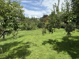 Wunderschöner Grund im Zaubertal