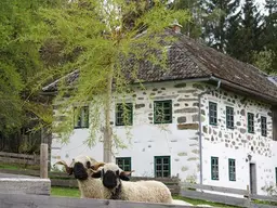 Traditioneller Mühlviertler Stoabloßhof in idyllischer Ruhelage - Oberhalb der Nebelgrenze