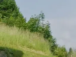 Wohnen am Waldrand