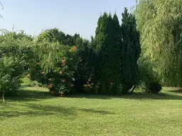 Baugrundstück-Garten-Privat