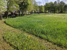 Privat: Sonniges Baugrundstück in Südburgenland