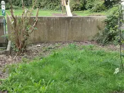 Ruhige 3-Zimmer Wohnung mit Garten