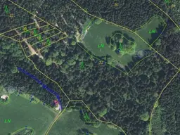 Wald und Naturjuwel