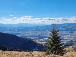 Parkähnliches Traumgrundstück mit fast 50.000 qm für privat von privat