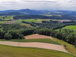 Ruhe, Platz und Entfaltungsmöglichkeiten gesucht??