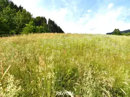 Baugrund in der Nähe von Feldkirchen