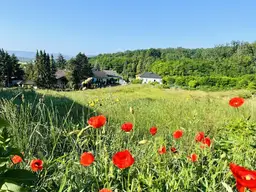 Baugrundstück in absoluter Bestlage von LEOBENDORF - BURG KREUZENSTEIN