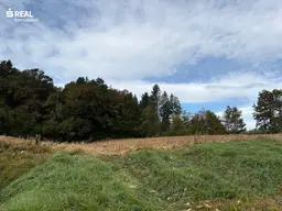 Ihr Bauprojekt in St. Stefan i. R. – 5 Parzellen mit Potenzial