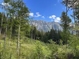 Natur- und Forstinvestment: Waldgrundstück am Fuße des Stoderzinkens