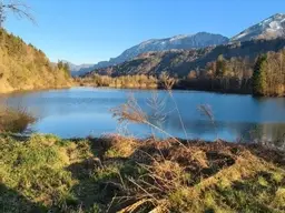 Sonniges, ebenes Grundstück mit Altbestand in ruhiger Lage nahe dem Linsendorfer See!