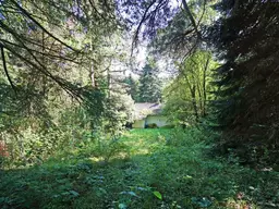 Großzügiges Baugrundstück mit Grünland und Altbestand im Irenental