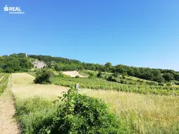 2352 Gumpoldskirchen, Wunderschönes Grundstück (4.949,00 m²) im Naturschutzgebiet mit Wohlfühl-Häuschen