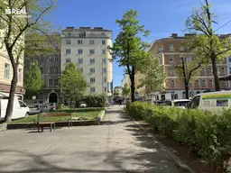 3 Zimmer Wohnung