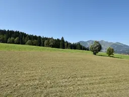 Familienfreundlich und Leistbar: 4-Zimmer-Wohnung in Hochfilzen