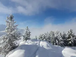 Baugrund in ruhiger Lage!